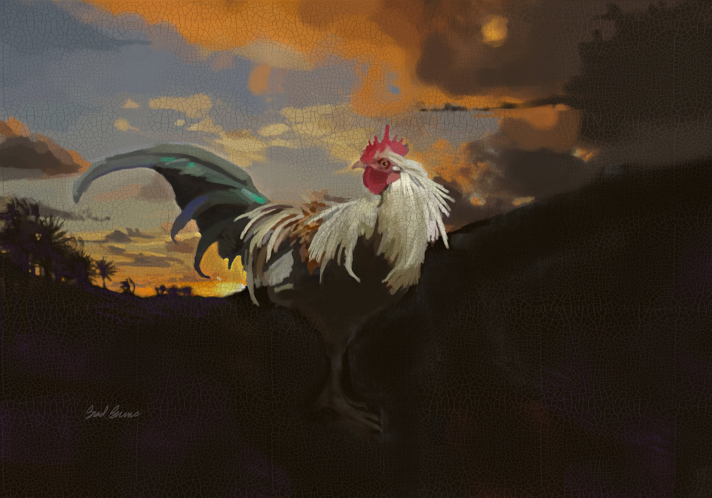 White Collar Kauai Rooster
