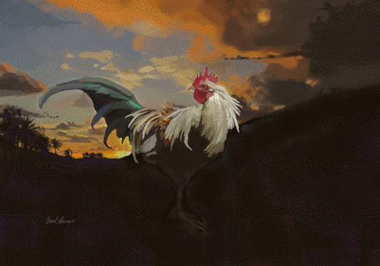 White Collar Kauai Rooster