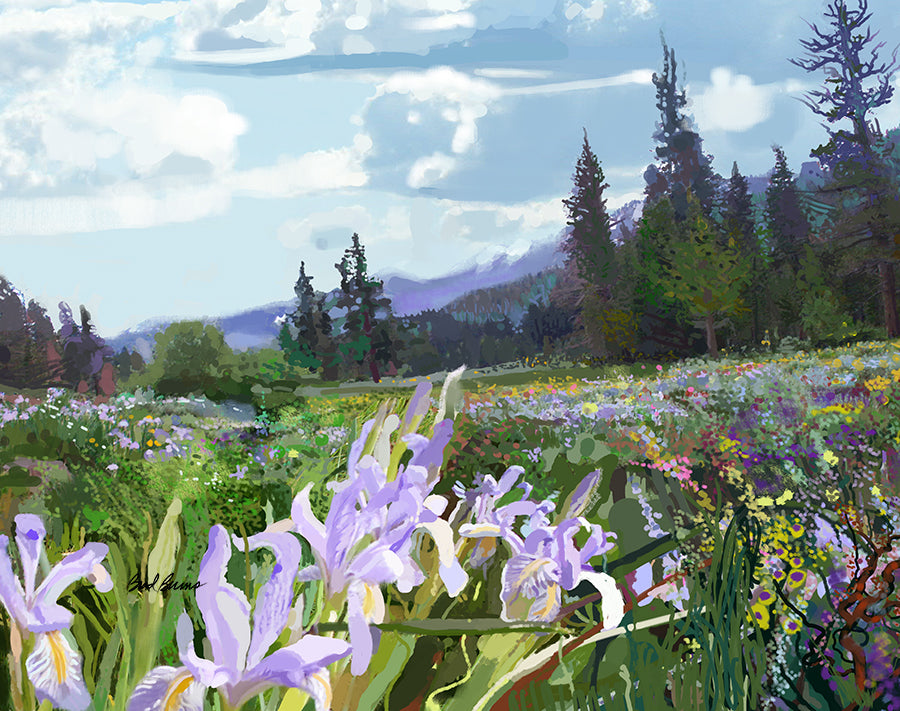 Wild Meadow